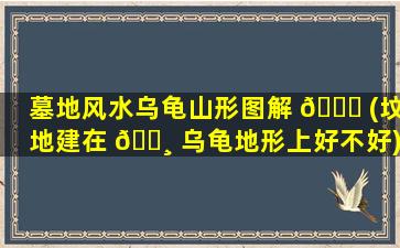 墓地风水乌龟山形图解 🐒 (坟地建在 🕸 乌龟地形上好不好)